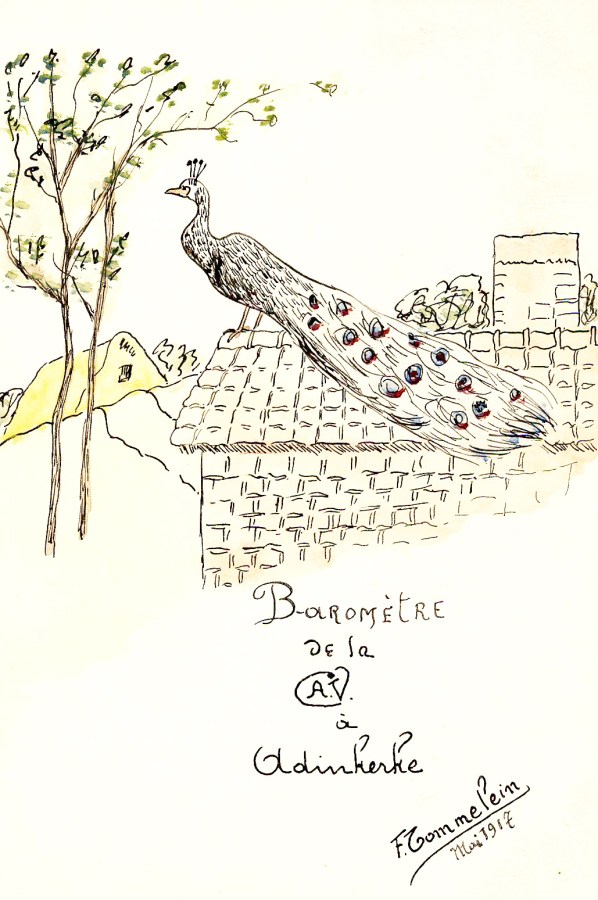 191705 Tommelein Franz