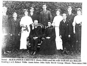 Chesney family in Ireland