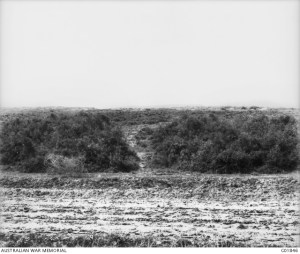 Looking towards Hill 60